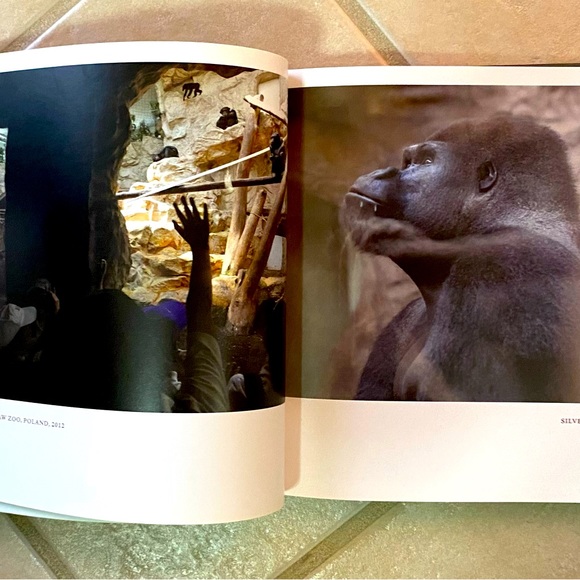 We Animals Book - Picture 3 of 3
